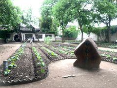 -绍兴鲁迅故里·沈园景区