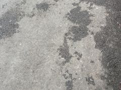 -芳博滋法式甜品(时代店)