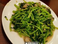 茼蒿炒海蛎-林之六八·6886大连老菜馆
