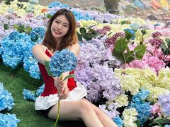 -洛阳白云山景区