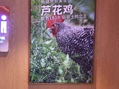 -俭寨大盘鸡·缸子肉·小公鸡·新疆菜(云通店)