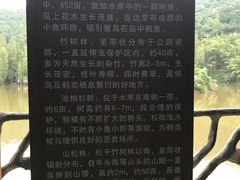 -滴水岩森林公园