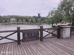 -上海鲜花港