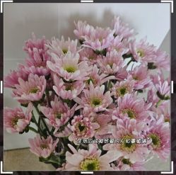 -奕美功能性体态调整·塑型·产后恢复(永利国际店)