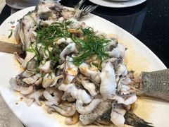 -丰食农家乐