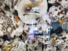 -大洋晶典(东街店)