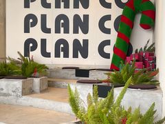 -PLAN CO