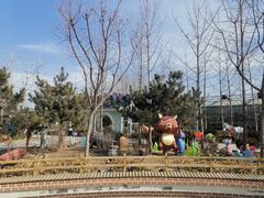 -南宫五洲植物乐园