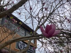 -南权皇烧鸡场