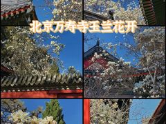 -北京艺术博物馆(万寿寺)