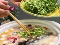 -金龙·打边炉(南京西路店)