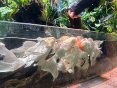 -太平洋海底世界