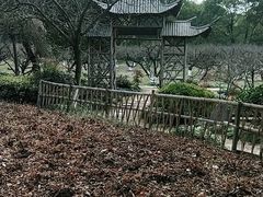 -白马涧龙池景区