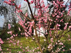 -樱桃山旅游景区