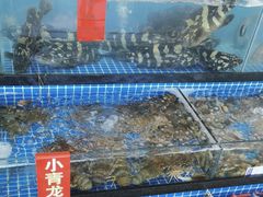 -红月湾海鲜饭店•沙滩海景(双月湾店)