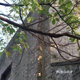 南京漫步｜民国风建筑里的细碎温柔光阴