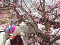 -有栖山 清光院 清水寺