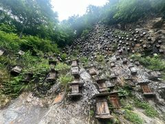 -神农架景区