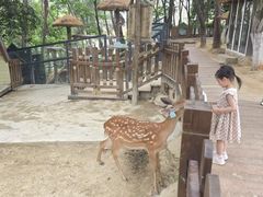 -杭州千岛湖开元度假村
