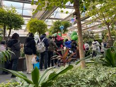 -南宫五洲植物乐园