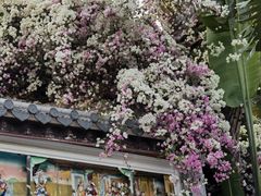 -深圳国际园林花卉博览园