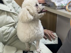 -瑞派宠物医院·24h·骨外科·皮肤科·全科宠物医疗转诊中心(沈阳浑南院)