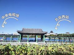 -莲花池公园