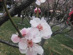 -南通博物苑-崇川人民公园