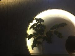 -大桶大足浴(陈春路店（3公里左右免费接送）)