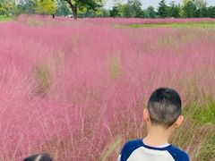 -汉长安城未央宫国家考古遗址公园