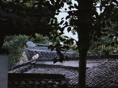 -西园戒幢律寺