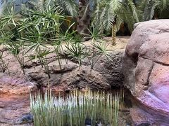 -上海海洋水族馆