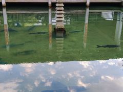 -杭州植物园