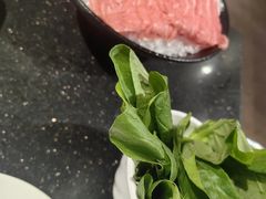 -蜀香居鲜毛肚火锅