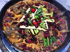 -老板恋上鱼(恒隆广场店)