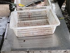 -姥家大锅台水库渔家