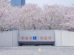 -龙美术馆(西岸馆)