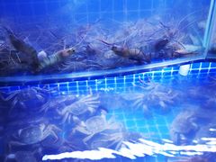 -星伦多自助料理(华润万象城店)