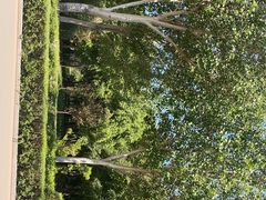 -长春公园(普阳街道)