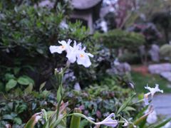 -金牛山大酒店(南北湖风景区店)