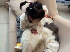 -怪兽屋·羊驼·猫咖·狗咖(俊华广场店)