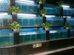 水产区-王家渡火锅店(棕榈泉店)