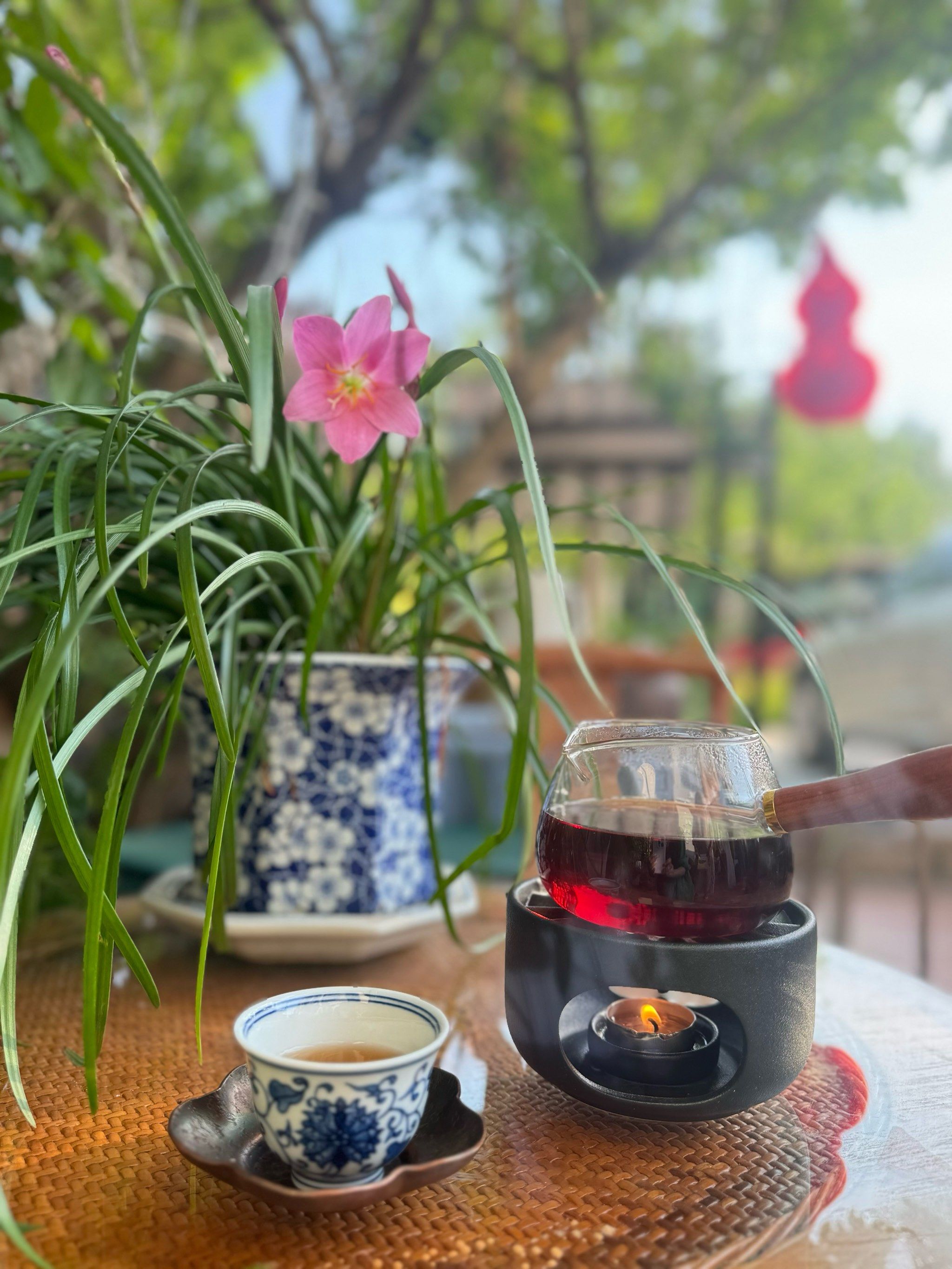 一杯茶的闲适午后