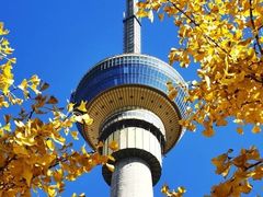 -中央广播电视塔