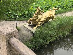 -广富林郊野公园