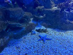 -常州海昌海洋探索馆