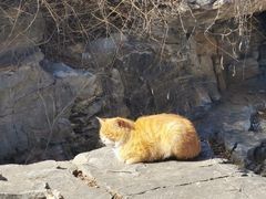 -北京西山国家森林公园