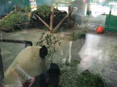 -无锡动物园·太湖欢乐园