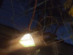 -古董花园(思南路42弄小区店)