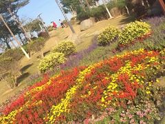 -五通灯塔公园